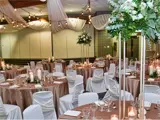 Room setup for special event with white draping and string lights from ceiling 