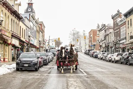 Horse carriage downtown
