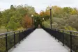 Trail path over bridge in autumn