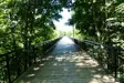 Trestle bridge with trees in summer