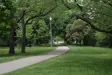 Walkway through a park